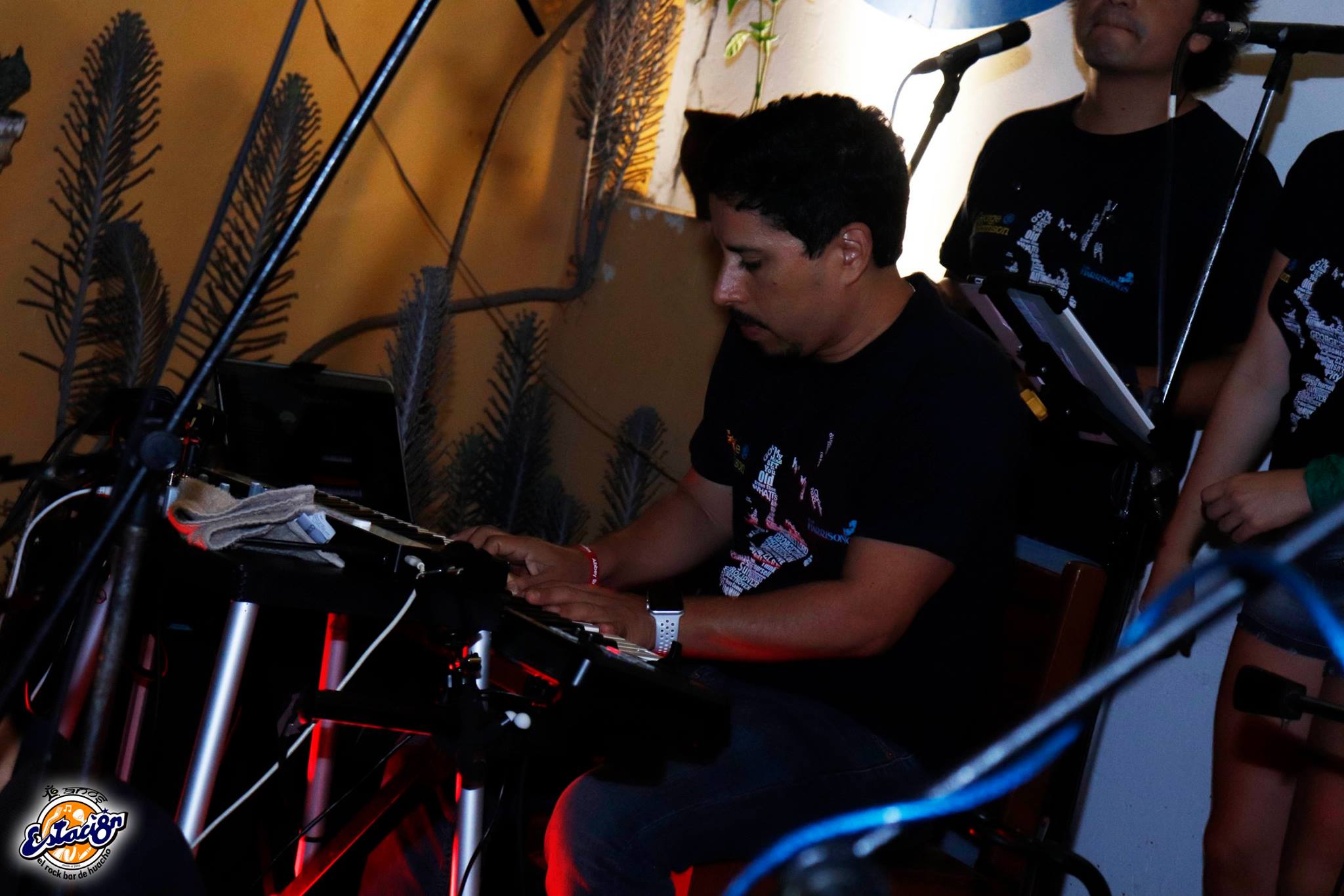 Los Harrisongs en Huacho